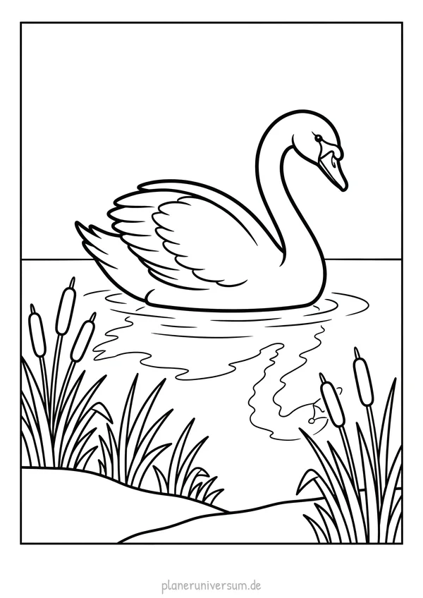 Ein eleganter Schwan schwimmt auf einem See, umgeben von Schilf und Wasserpflanzen